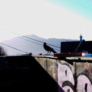 D&B Society: 140 Special  with Crowley (NL), Karl Bird (2026.03.07)