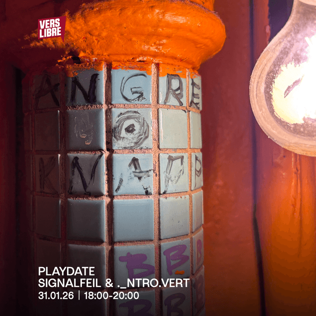 Playdate with DJ Signalfeil and . _ntro.vert (2026.01.31)