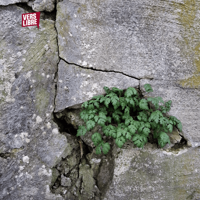 D&B Society with Yuna Meskalin B2B Varia, Tellev (2025.12.13)