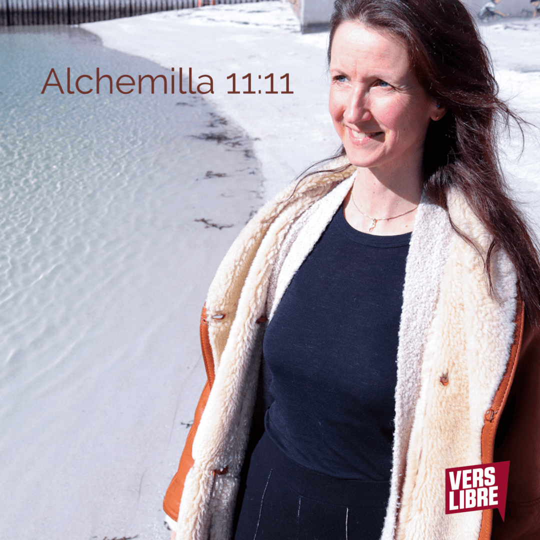 New Show — Alchemilla 11:11